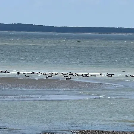 Cosy Francaise Apartman